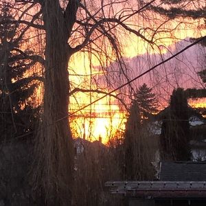 Meet your Posher, Zoey